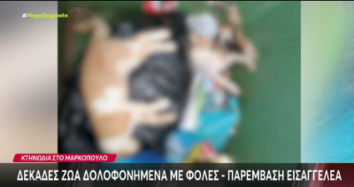 Δεκάδες ζώα δολοφονημένα με φόλες – Παρέμβαση εισαγγελέα