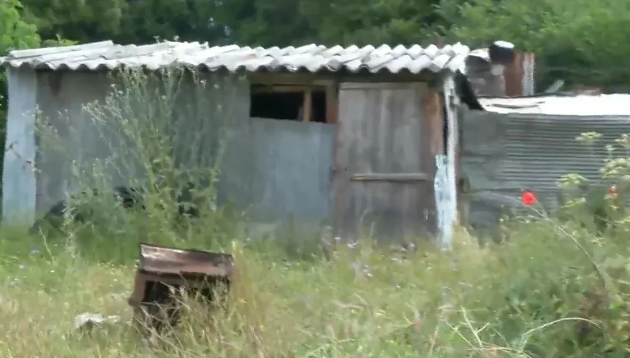 Καβάλα: Νέα σενάρια για την 68χρονη που βρέθηκε νεκρή – Ίσως την σκότωσε το κριάρι της