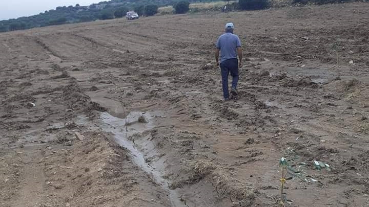 Κοζάνη: Ολική καταστροφή στις καλλιέργειες του κάμπου Δροσερού