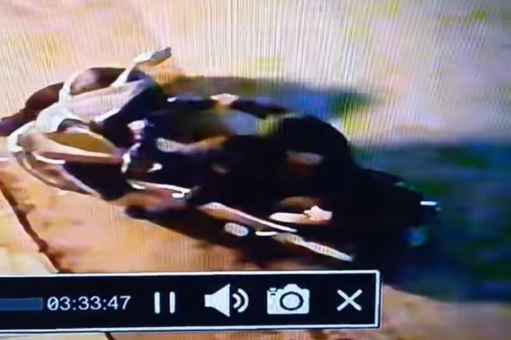 Θεσσαλονίκη: Καρέ-καρέ η κλοπή μίας μοτοσικλέτας (Video)