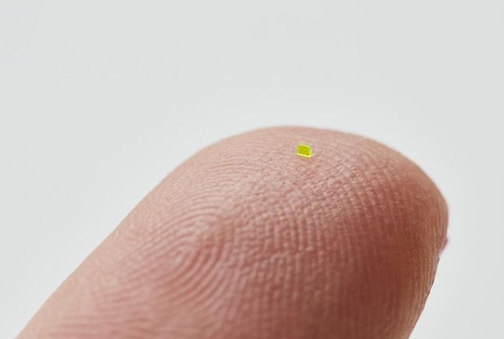 Η πιο μικροσκοπική τσάντα στον κόσμο πωλείται για πάνω από 63.000 δολάρια (ΦΩΤΟ)