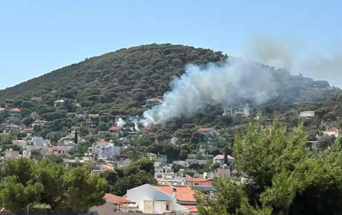 Συναγερμός στην Πυροσβεστική: Πυρκαγιά στην Αρτέμιδα (Video)