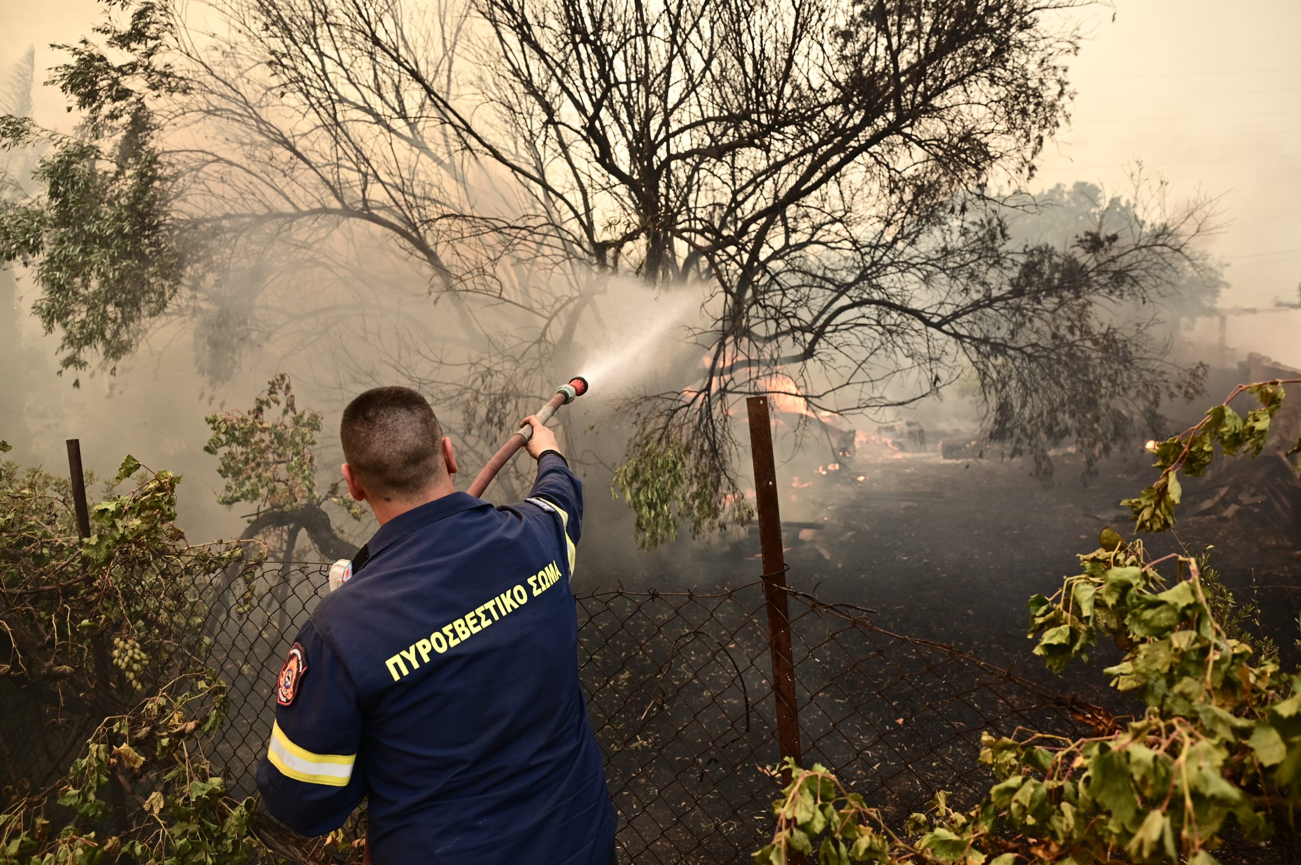Θεσσαλονίκη: Πυρκαγιά ξέσπασε σε δασική έκταση στο Καλαμωτό