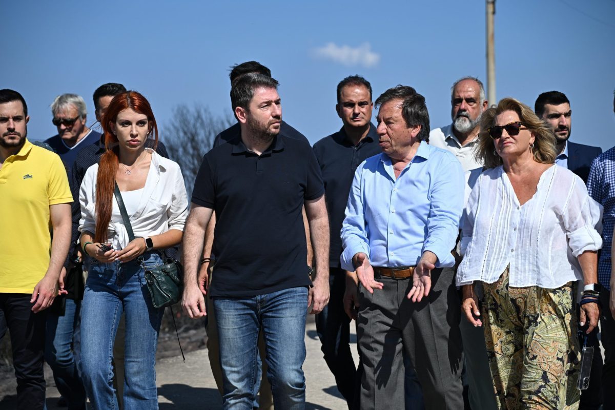 Να ξεκαθαρίσουν οι αρμοδιότητες τοπικής αυτοδιοίκησης-κράτους ζήτησε περιοδεύοντας στα καμένα ο Ν. Ανδρουλάκης