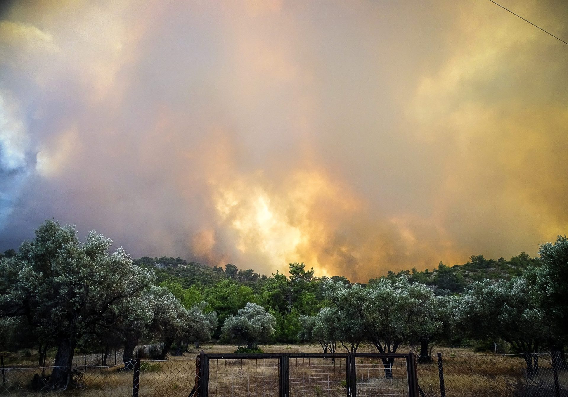 Μεγάλες αναζωπυρώσεις και στα τρία μέτωπα της πυρκαγιάς στη Ρόδο (Video)
