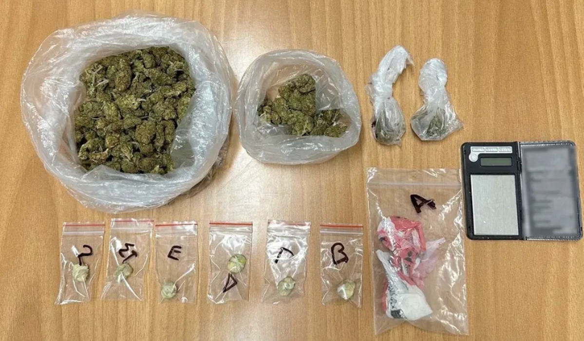 Χαλκιδική: Συνελήφθησαν δύο 27χρονοι  για διακίνηση και κατοχή ναρκωτικών