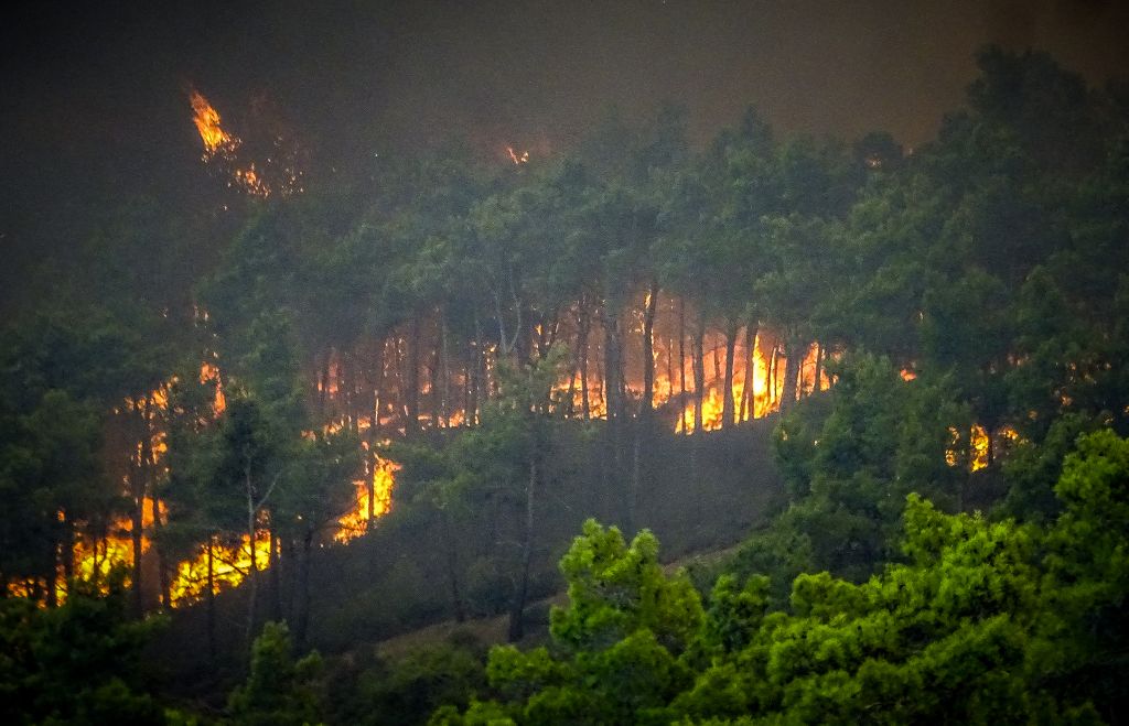 Η επίδραση των πυρκαγιών στις ιδιότητες των δασικών εδαφών της Ελλάδας