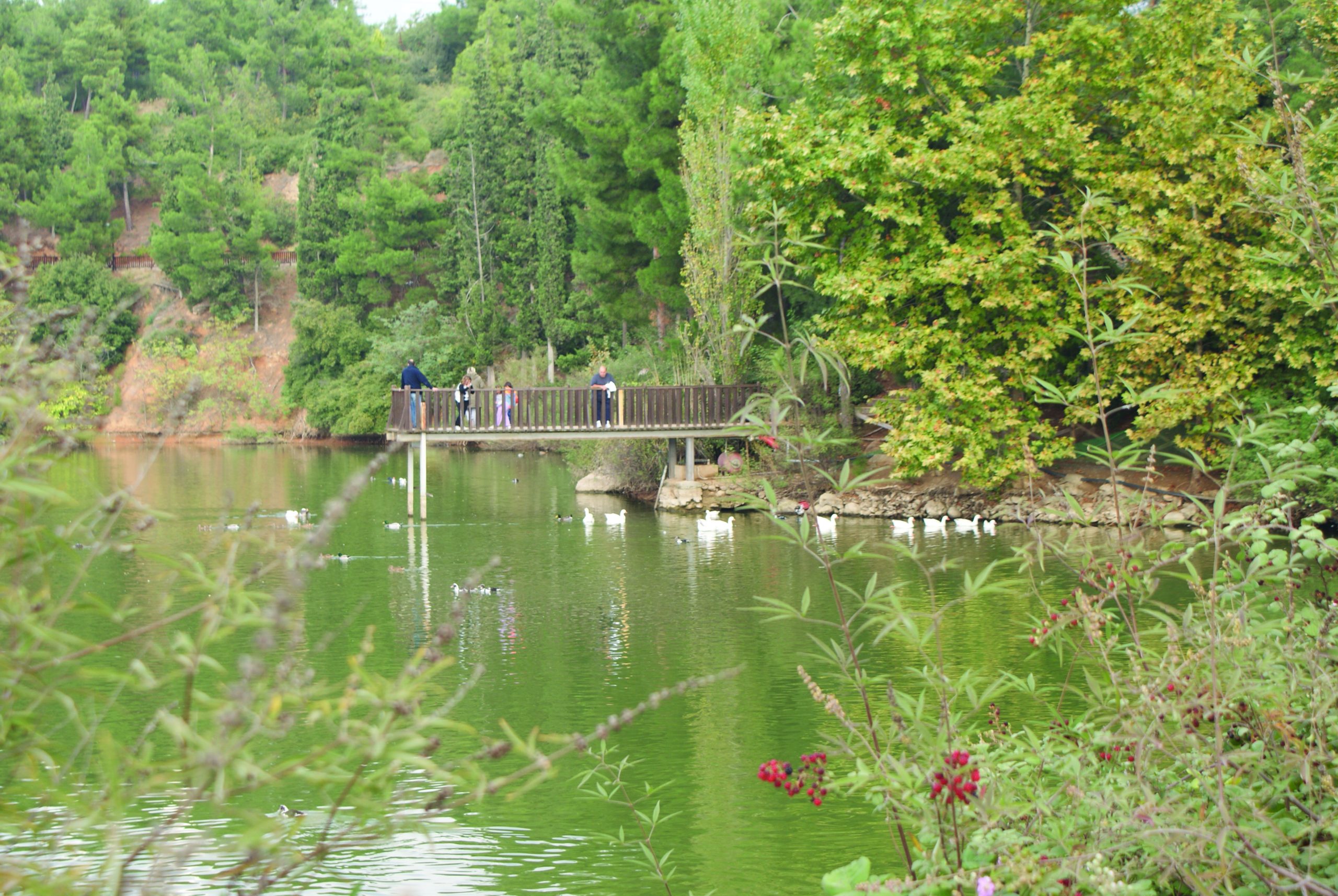 Απαγόρευση κυκλοφορίας στο Φράγμα Θέρμης και τις δασικές εκτάσεις του δήμου Θέρμης