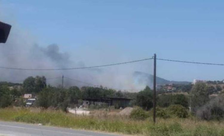 Χαλκιδική: Τέθηκε υπό μερικό έλεγχο το πύρινο μέτωπο στον Άγιο Νικόλαο (ΦΩΤΟ+Video)