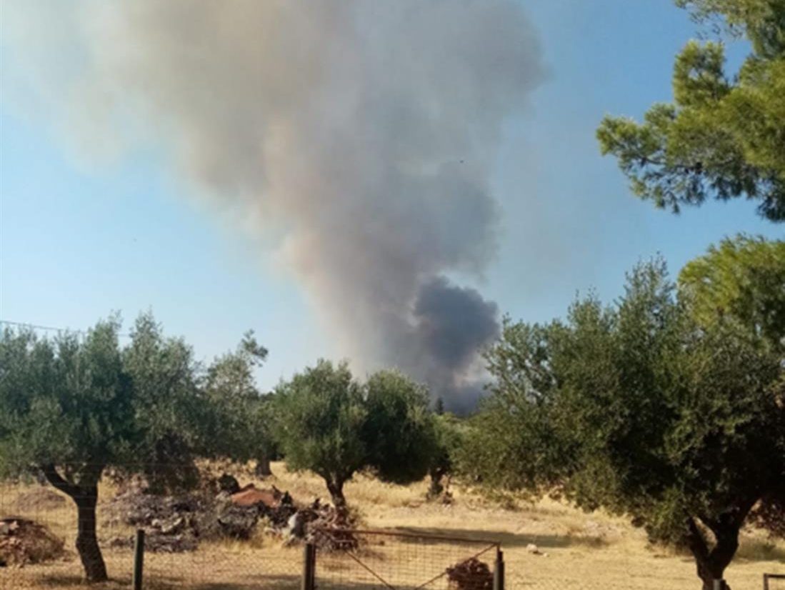 Φωτιά στην Μάνδρα: Αναζωπύρωση στο Καραούλι