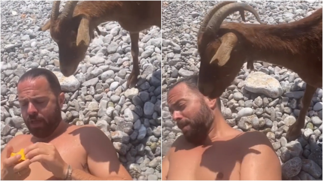 Kατσίκα «επιτέθηκε» στον Ηλία Βρεττό για ένα ροδάκινο (Video)