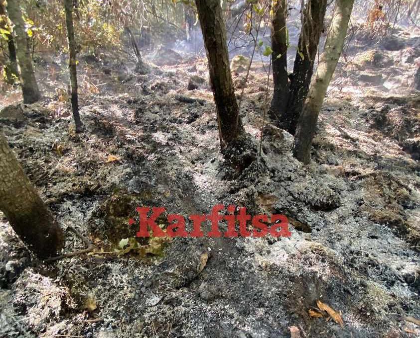 Σέρρες: Υπό μερικό έλεγχο η φωτιά στο Αηδονοχώρι (ΦΩΤΟ+Video)