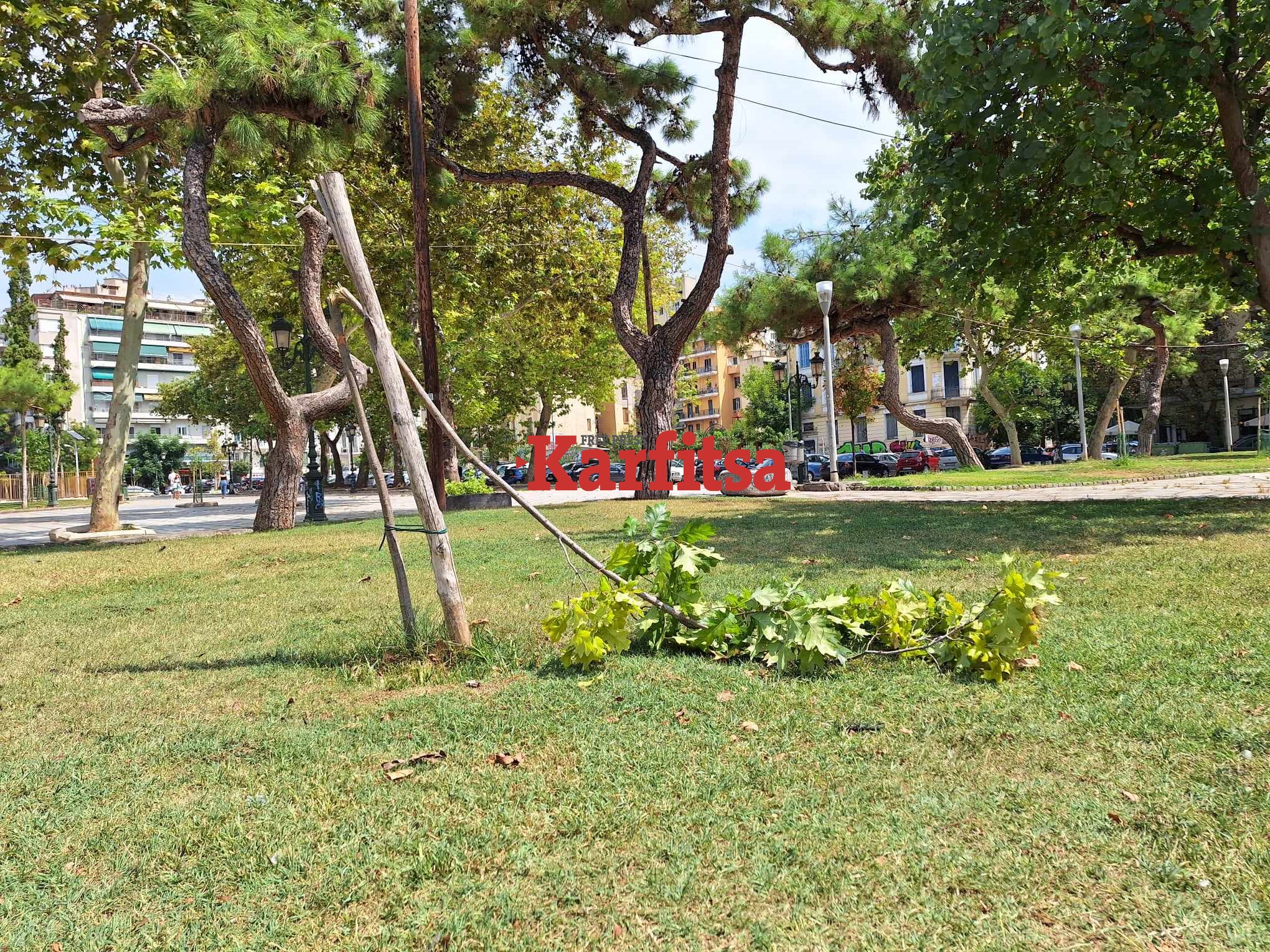 Θεσσαλονίκη: Άγνωστοι έσπασαν κορμούς δέντρων στην πλατεία Αρχαίας Αγοράς (ΦΩΤΟ)