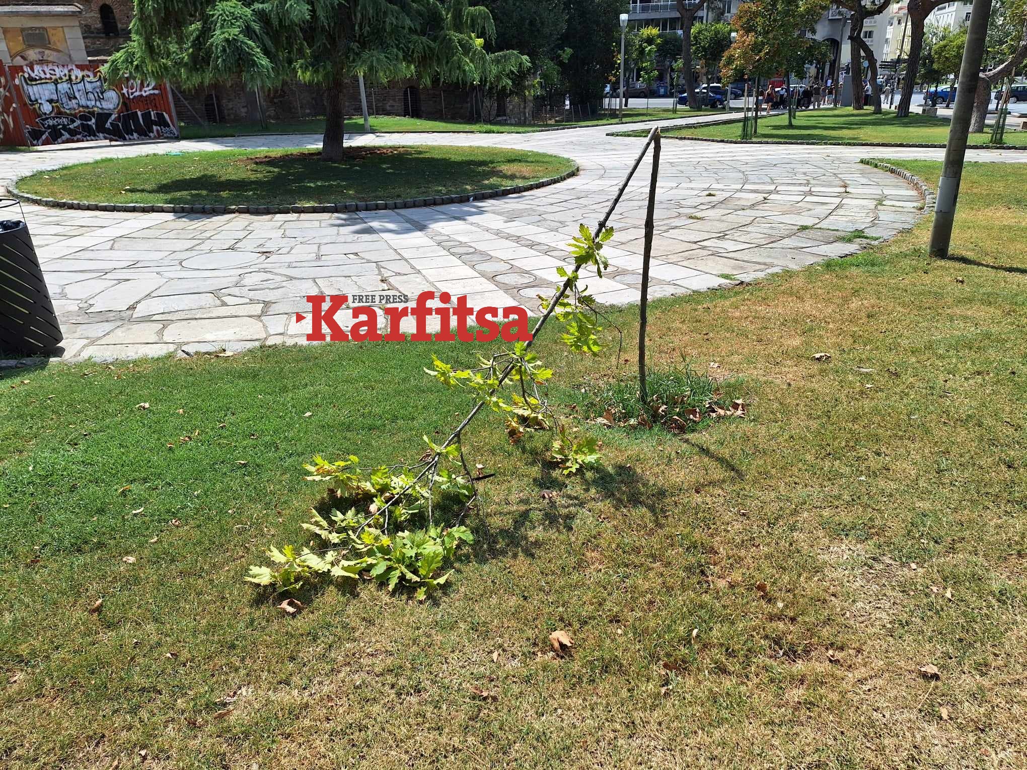 Θεσσαλονίκη: Άγνωστοι έσπασαν κορμούς δέντρων στην πλατεία Αρχαίας Αγοράς (ΦΩΤΟ)