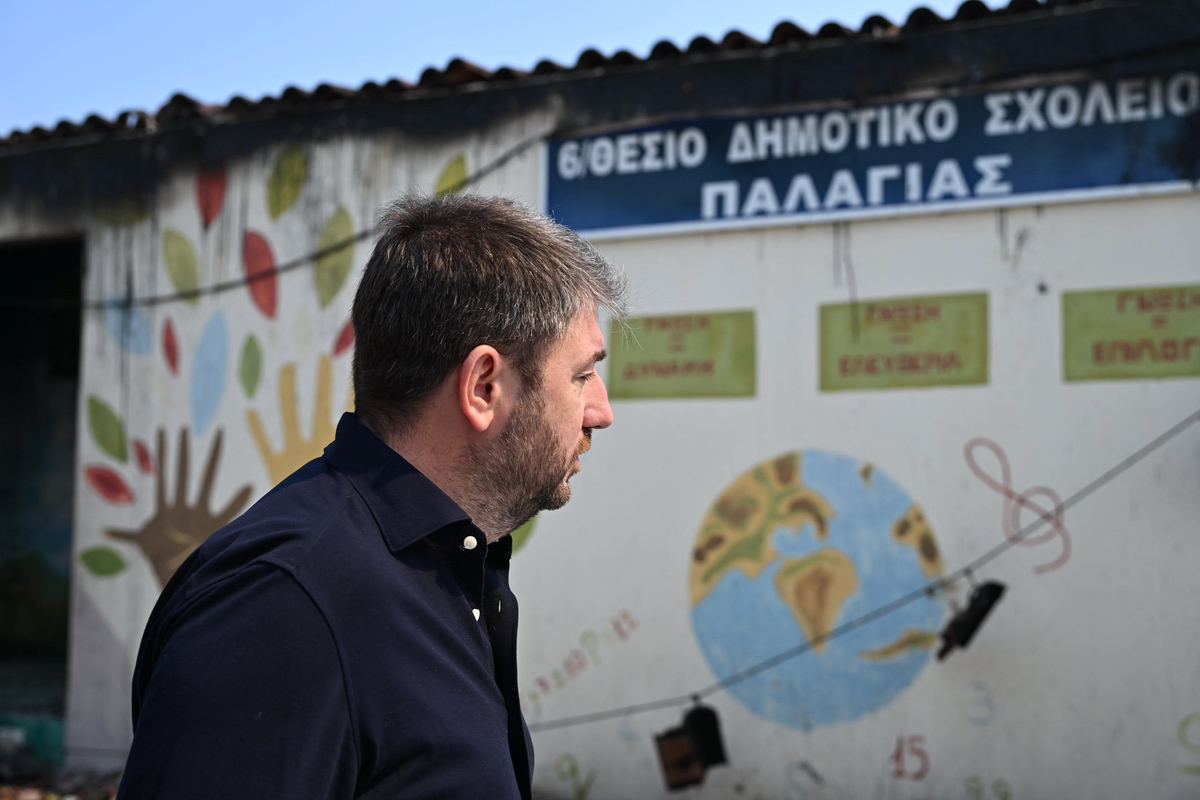 Ν. Ανδρουλάκης: «Το κλειδί της αντιμετώπισης των πυρκαγιών στη χώρα μας είναι η πρόληψη»