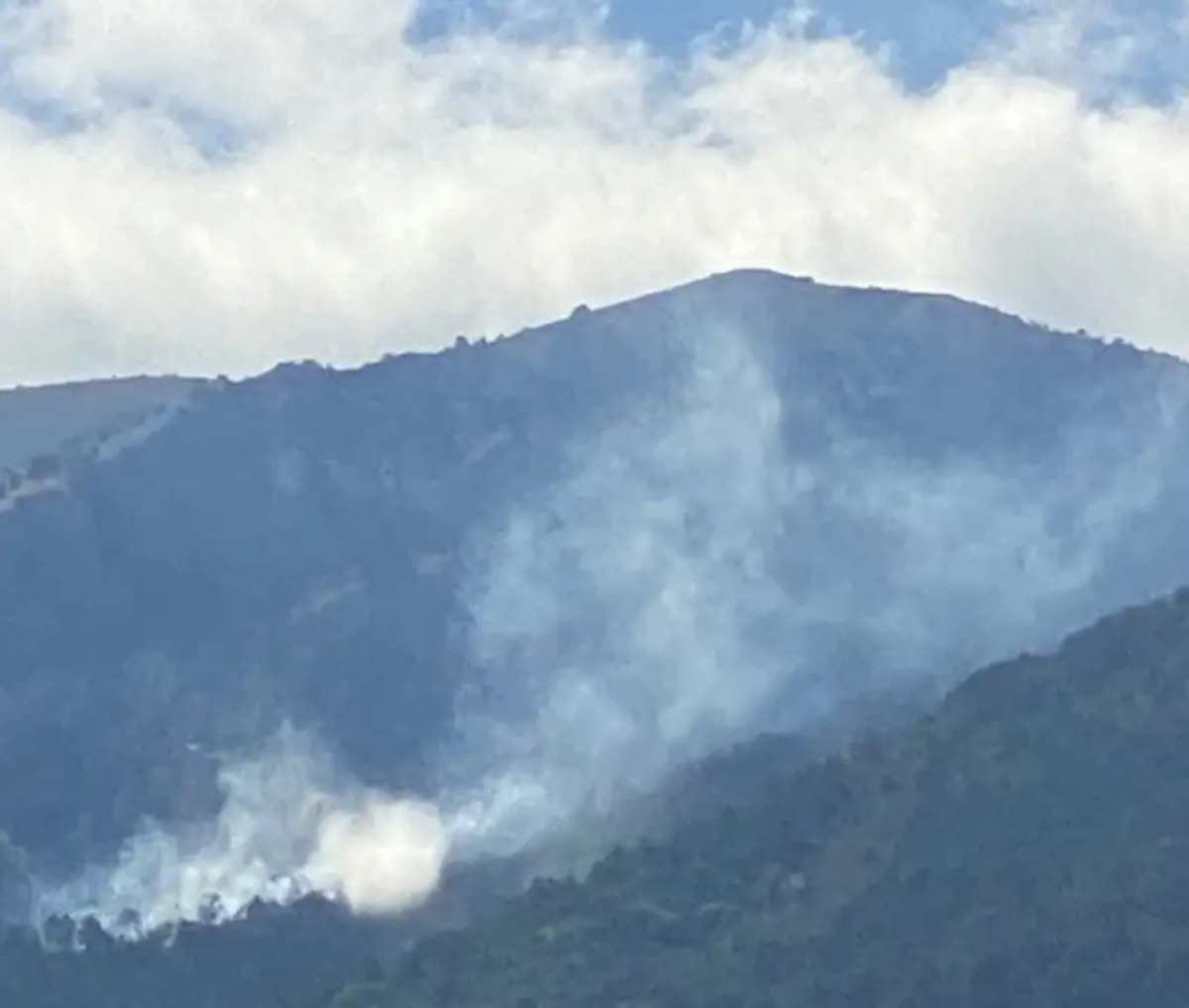 Φωτιά στον Όλυμπο σε δύσβατη περιοχή στην Καρυά Ελασσόνας (Video)