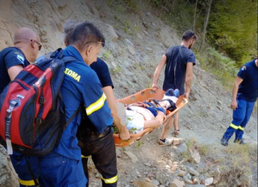 Αρκούδα επιτέθηκε σε 67χρονο