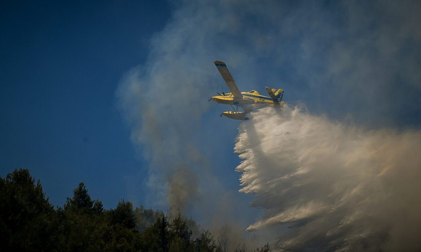 Νέα φωτιά στη Ροδόπη - Επιχειρούν εναέρια μέσα