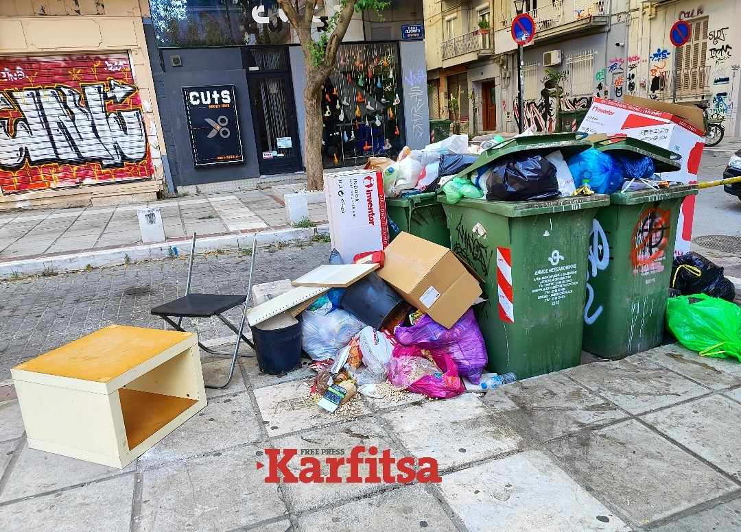 Ανεπιθύμητοι επισκέπτες απολαμβάνουν τους υπερχειλισμένους κάδους στη Θεσσαλονίκη (ΦΩΤΟ)