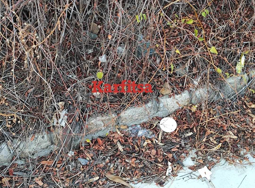 Θεσσαλονίκη: Ξερόχορτα και σκουπίδια υποβαθμίζουν την Ελένης Ζωγράφου (ΦΩΤΟ)