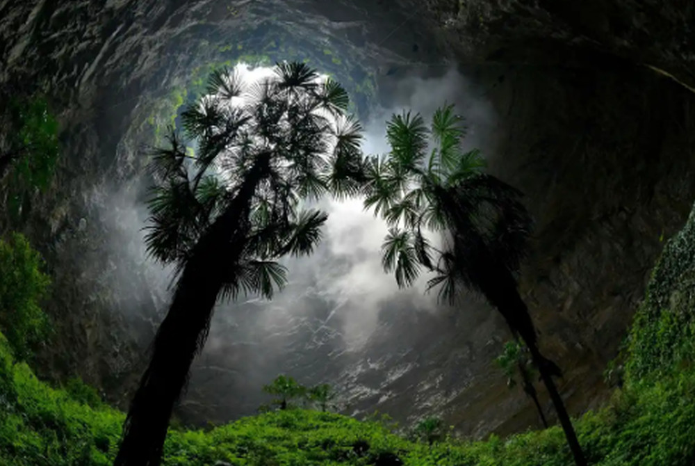 Το αρχαίο δάσος που βρέθηκε 180 μέτρα κάτω από την επιφάνεια της Γης