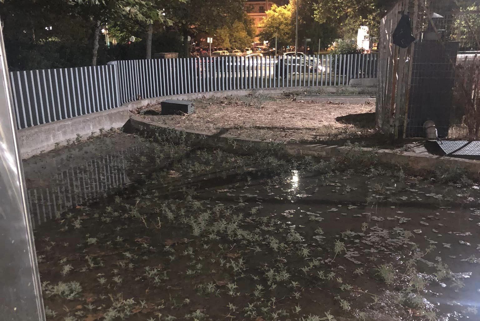 Θεσσαλονίκη: Πάρκο σκύλων για… υποβρύχιες βόλτες (ΦΩΤΟ)