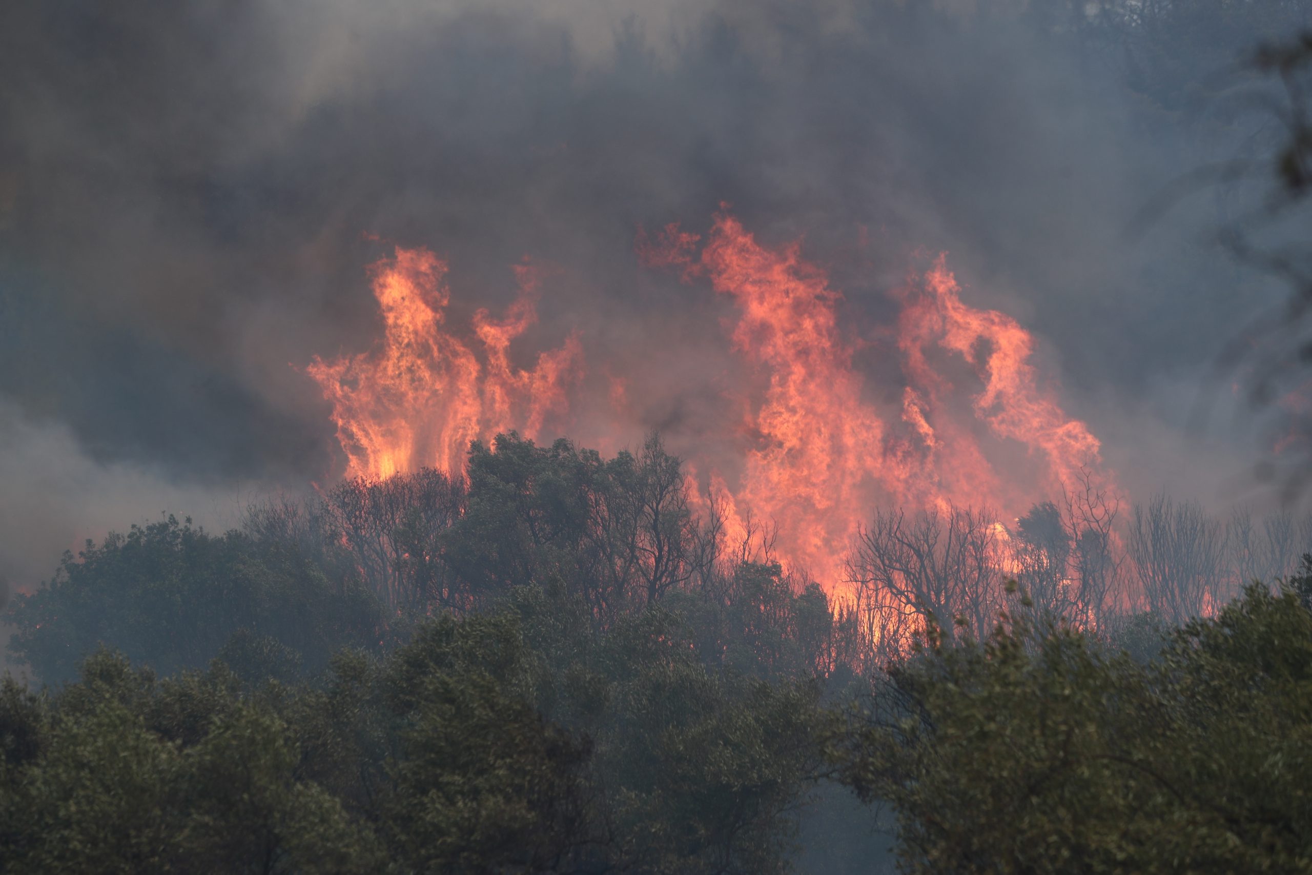 «Πρωτιά» απελπισίας φέτος για την Ελλάδα με εκατομμύρια καμένα στρέμματα – Αποκαρδιωτικά στοιχεία από το Meteo