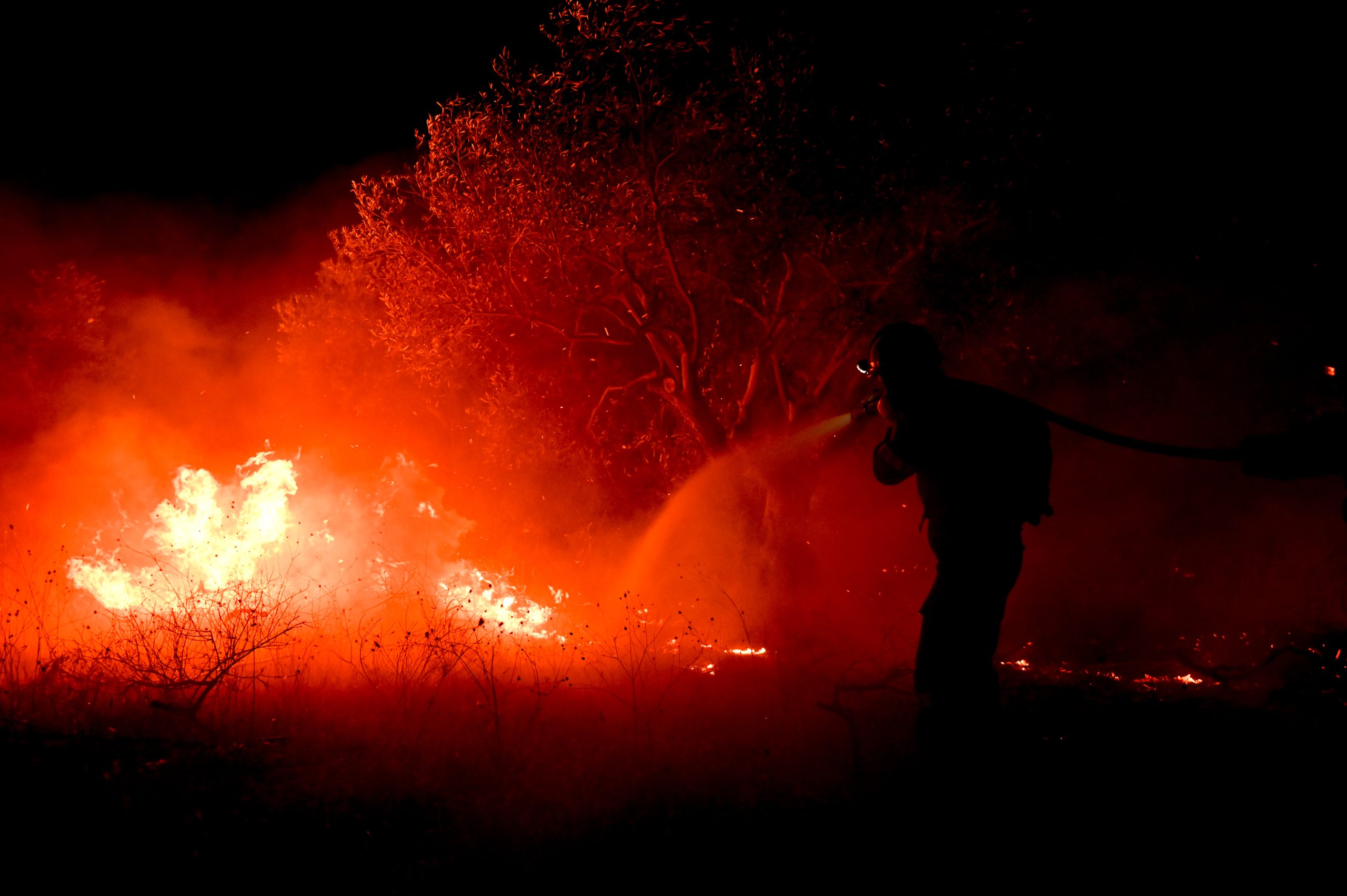 Έσβησε η πυρκαγιά στη Δαδιά – Σε επιφυλακή η πυροσβεστική για αναζωπυρώσεις