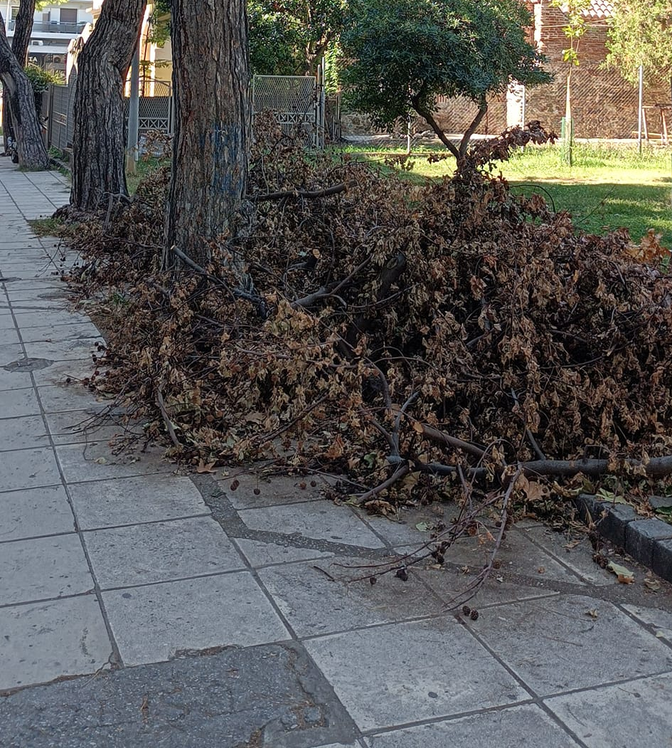 Θεσσαλονίκη: Κλάδεψαν τα δέντρα και τα παράτησαν στο πεζοδρόμιο για περισσότερο από μήνα (ΦΩΤΟ)