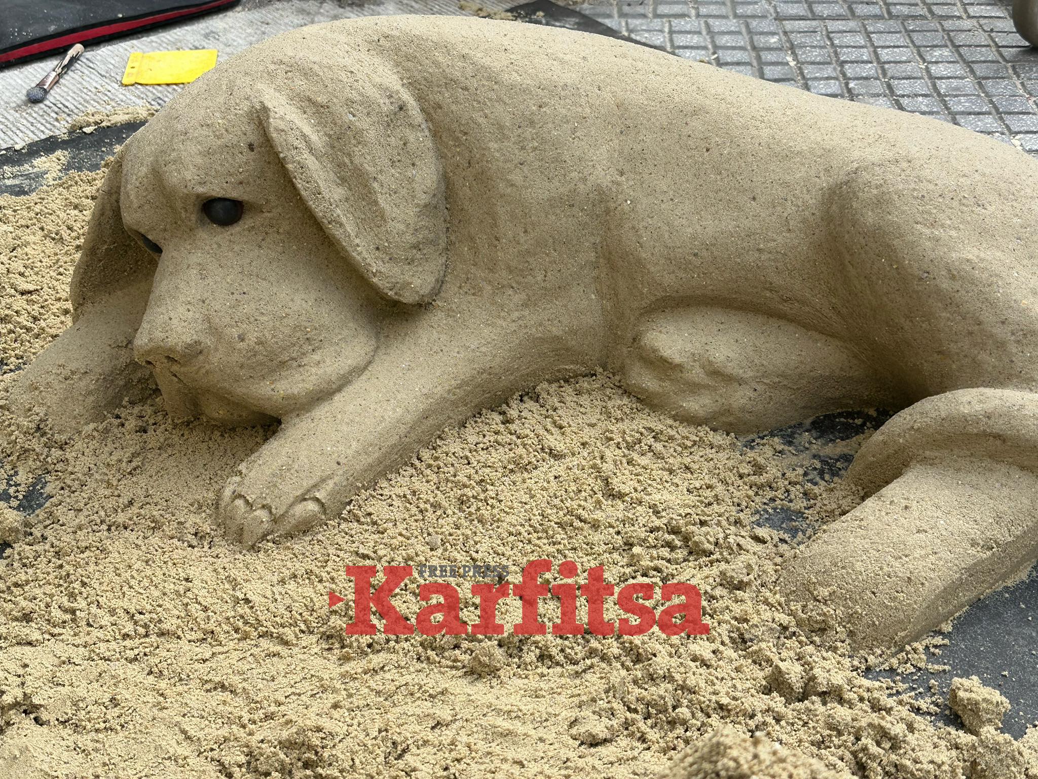 Θεσσαλονίκη: Σκύλος από…άμμο στο κέντρο της πόλης! (ΦΩΤΟ+ Video)