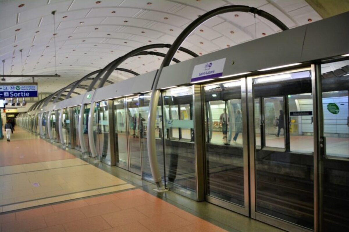 Βρετανία: Επιστρατεύονται σκύλοι για τον εντοπισμό κοριών σε ξενοδοχεία και σπίτια