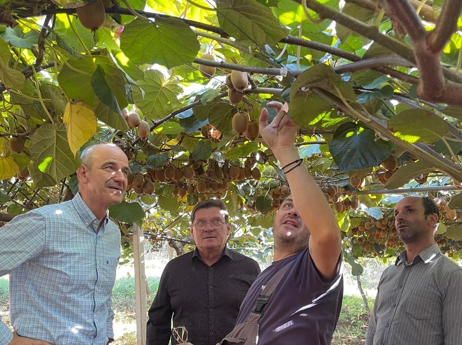 Τα Πιερικά ακτινίδια του Φώντα Μπαραλιάκου 