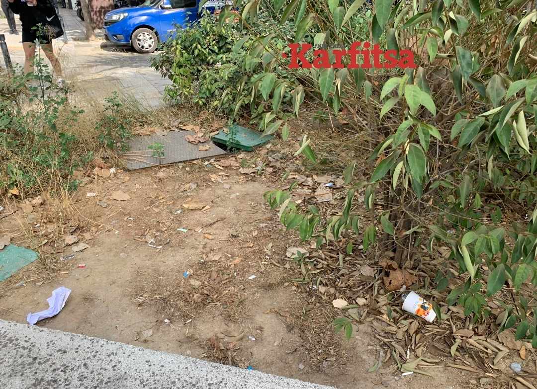 Θεσσαλονίκη: Ξεραμένα φυτά και σκουπίδια – Η αδιαφορία για τις μικρές «πηγές» πρασίνου (ΦΩΤΟ)