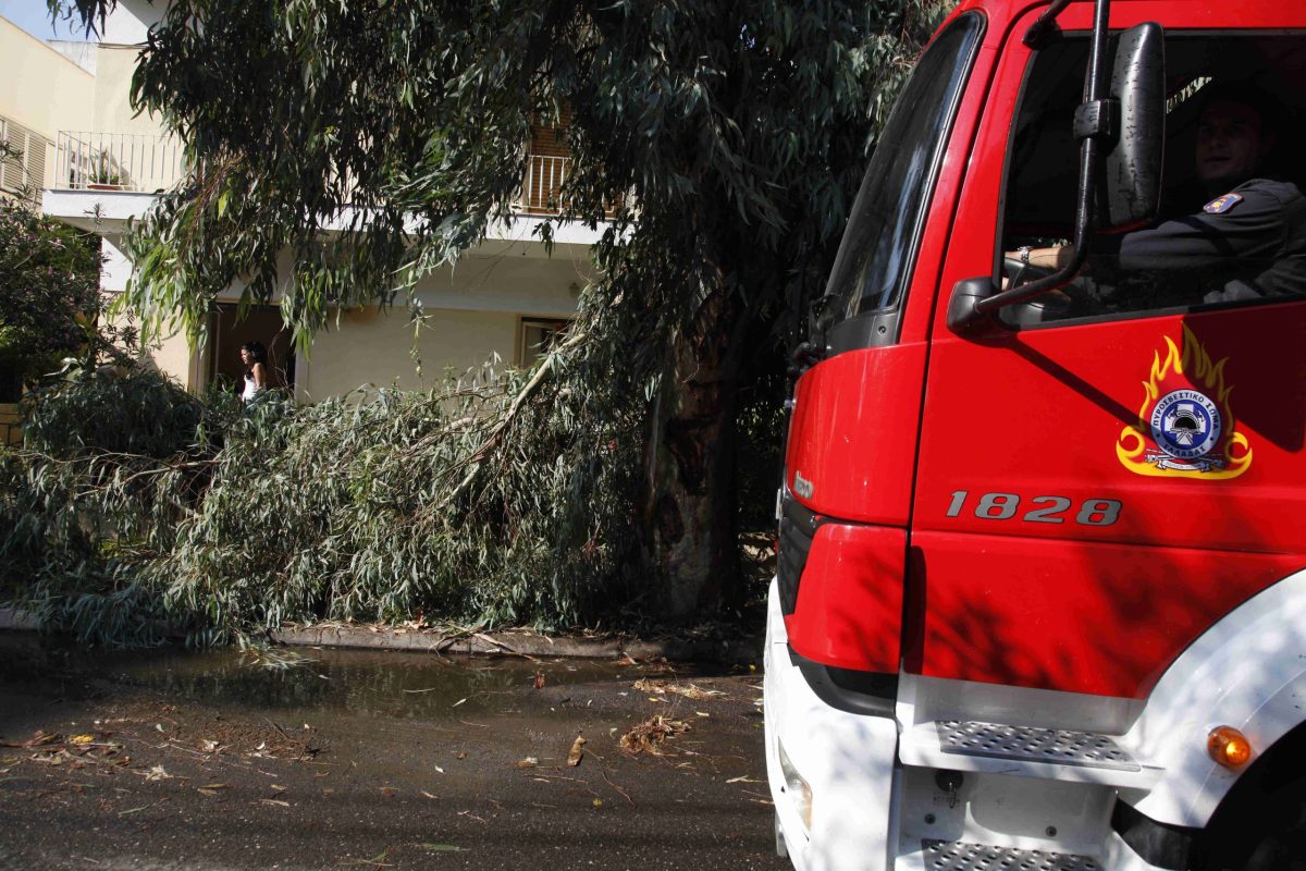 Θεσσαλονίκη: Δυνατός αέρας ξερίζωσε πλάτανο που καταπλάκωσε δυο αυτοκίνητα στην Άνω Πόλη