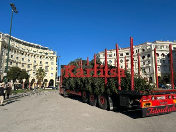 Θεσσαλονίκη: Έφτασε στην πλατεία Αριστοτέλους το χριστουγεννιάτικο δέντρο από το Παλαιοχώρι Χαλκιδικής (ΦΩΤΟ+Video)
