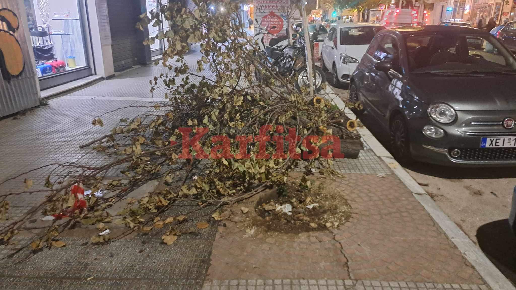 Θεσσαλονίκη: Παράτησαν στο πεζοδρόμιο δέντρο που είχε πέσει το περασμένο Σάββατο λόγω των ισχυρών ανέμων (Video)