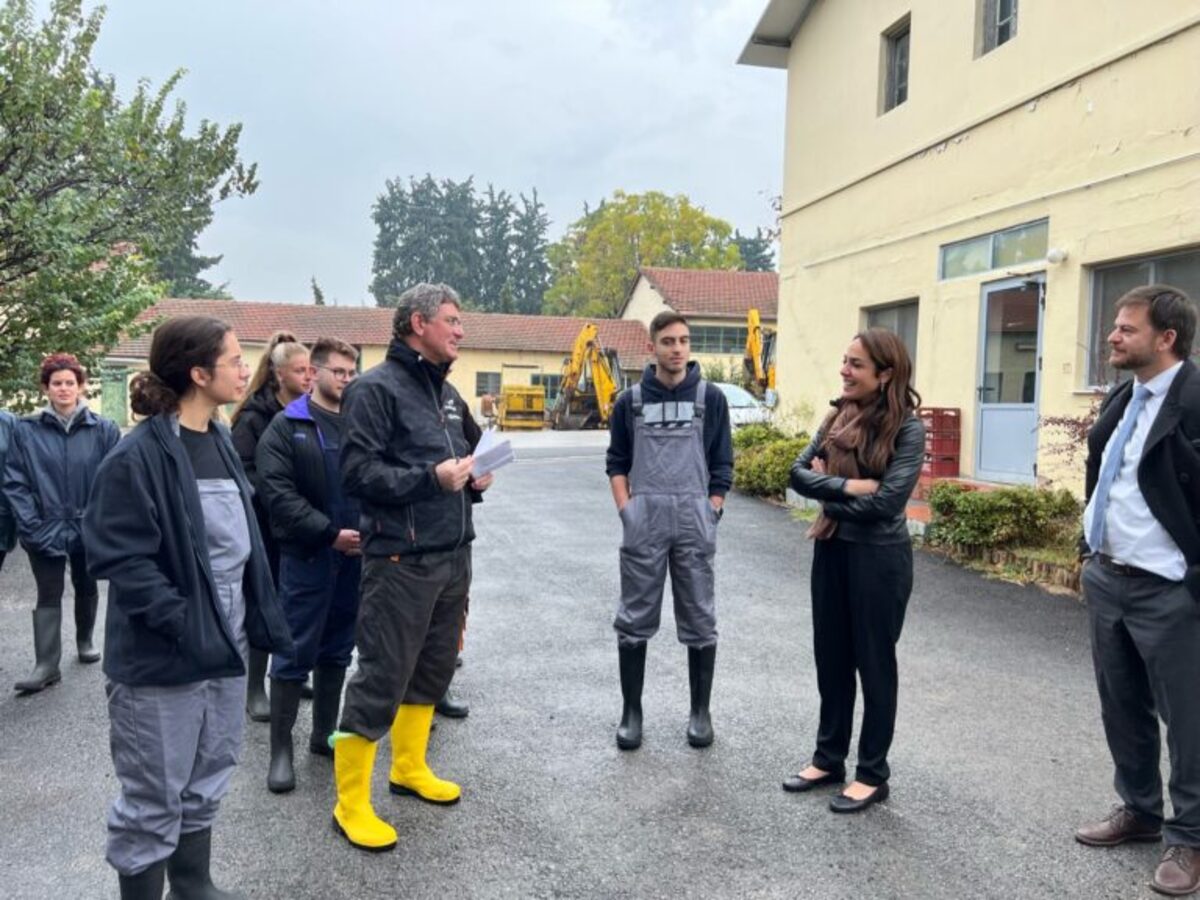 Θεσσαλονίκη: Πώς θα λειτουργήσει το νέο σύστημα αναπλήρωσης των κενών εκπαιδευτικών- Επίσκεψη Δ. Μιχαηλίδου σε σχολεία