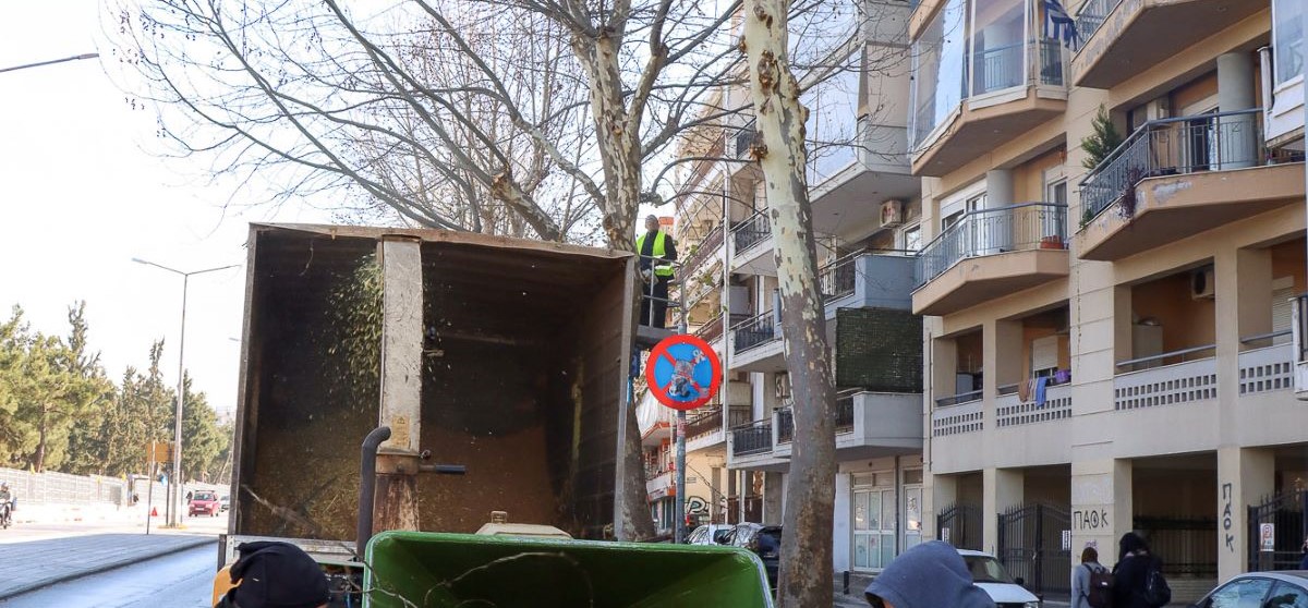 Θεσσαλονίκη: Άρχισαν οι κλαδεύσεις σε όλες τις δημοτικές ενότητες του δήμου Νεάπολης-Συκεών