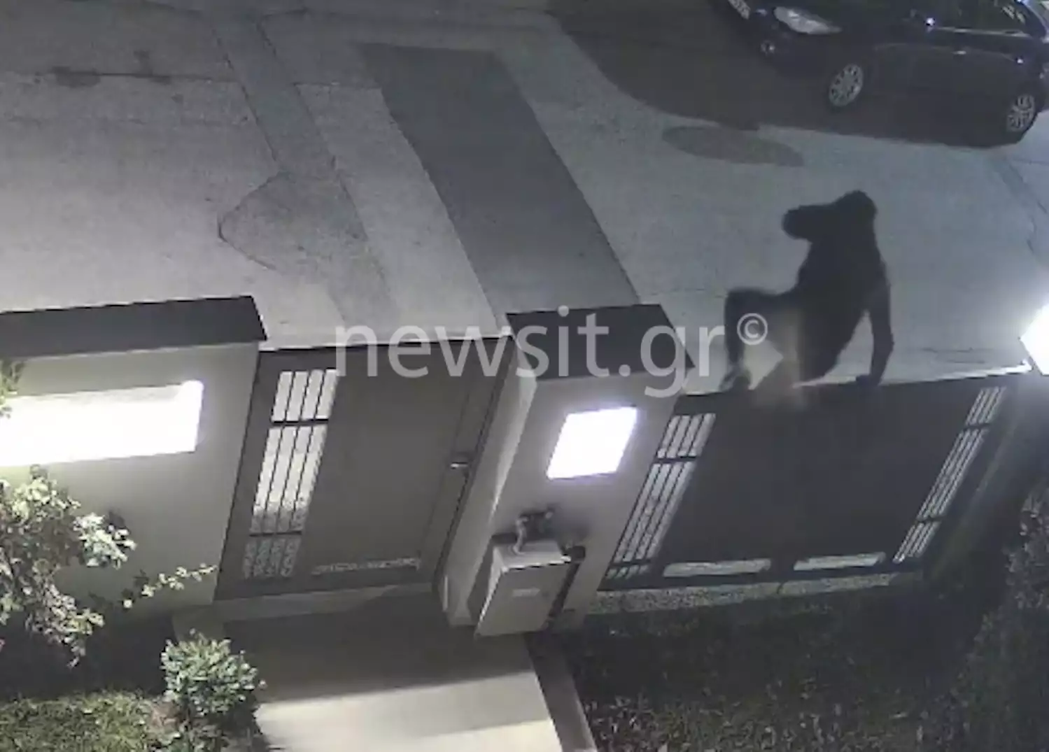 Θεσσαλονίκη: Επίδοξοι διαρρήκτες προσπαθούν να μπουν σε μεζονέτα αλλά το βάζουν στα πόδια (Video)