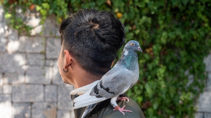 Θεσσαλονίκη: Ανήλικοι πρόσφυγες σε δομή φιλοξενίας φροντίζουν περιστέρια δημιουργώντας τον δικό τους περιστερώνα