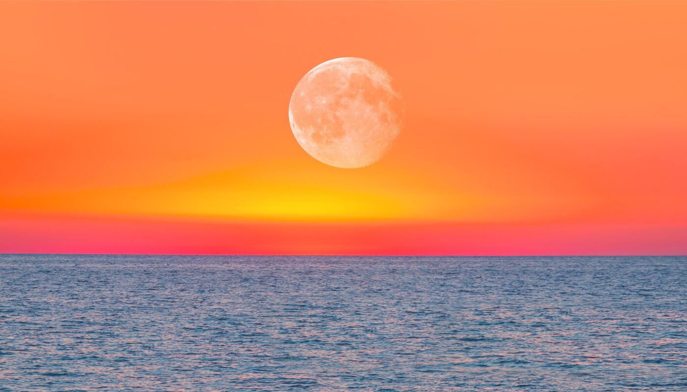 Τα ζώδια αυτής της εβδομάδας