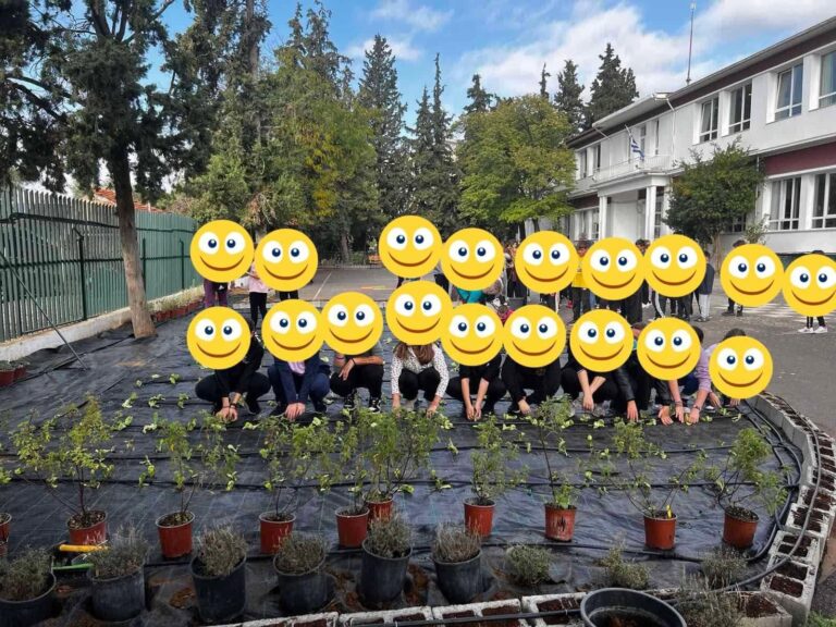 Θεσσαλονίκη: Σε κήπο μεταμορφώθηκε η αυλή δημοτικού σχολείου