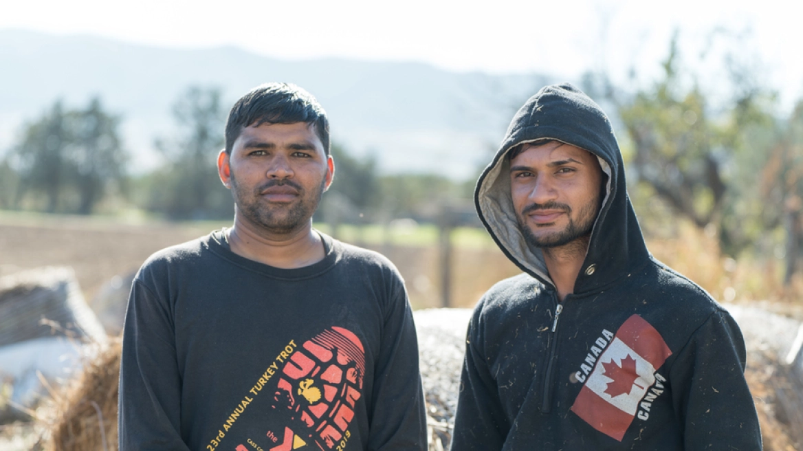Ινδοί αγρότες έγιναν κτηνοτρόφοι σε μονάδα της Χαλκιδικής – «Μας χαμογέλασε η τύχη»
