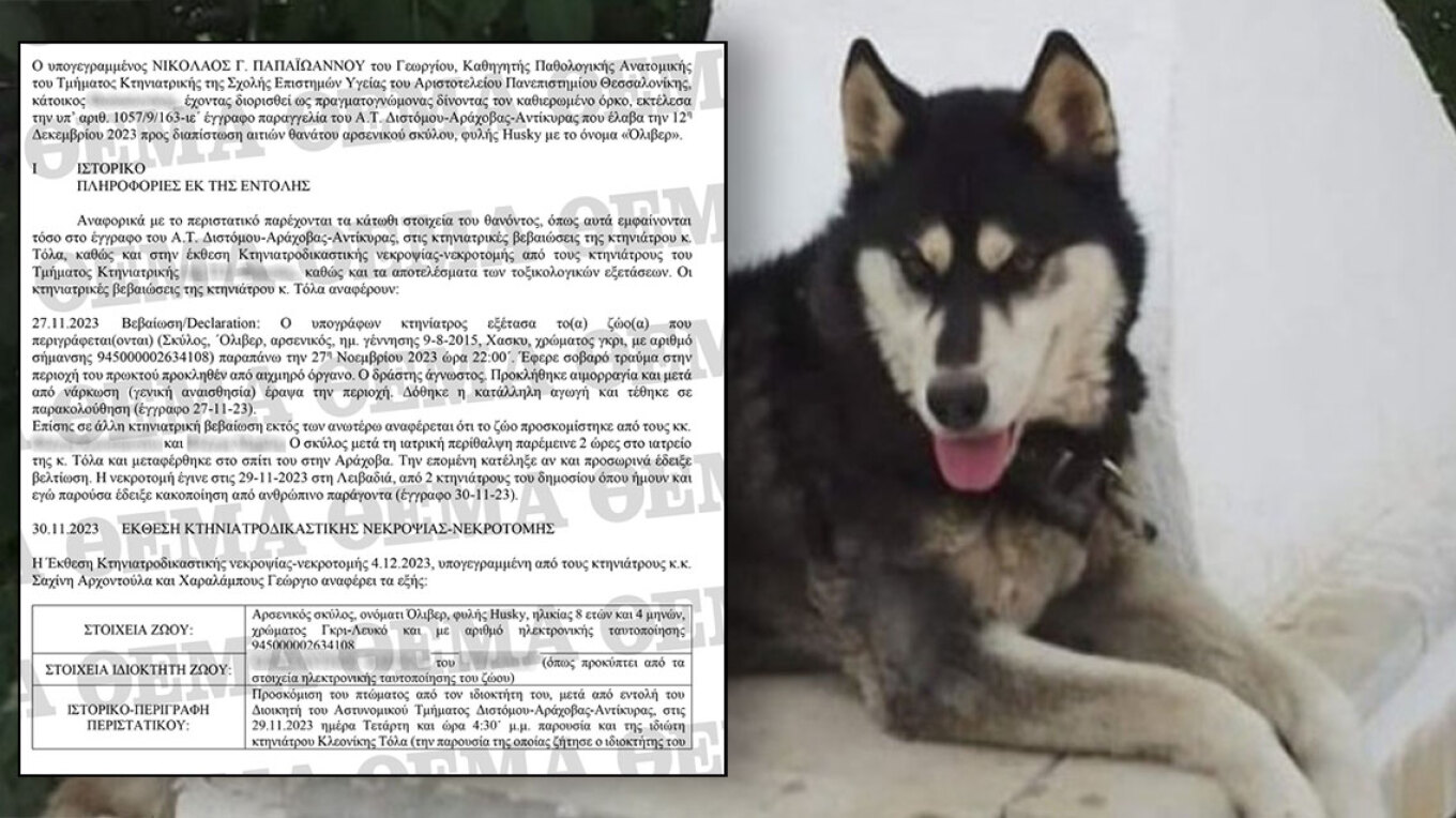 Αράχωβα: Τι αναφέρει το πόρισμα του πραγματογνώμονα που όρισε η ΕΛΑΣ για τον Όλιβερ