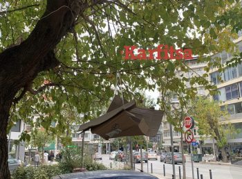 Θεσσαλονίκη: Κρέμασαν σκουπίδια σε δέντρο (Video)