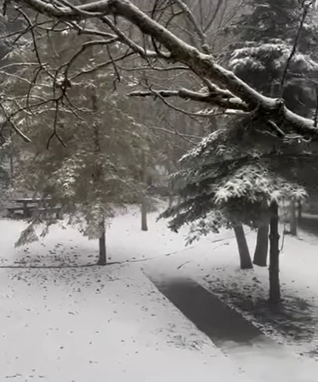 Θεσσαλονίκη: Ξεκίνησε να χιονίζει στον Χορτιάτη! (Video)