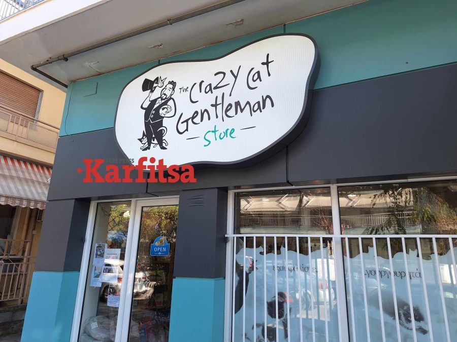 Βόλτα στο πρώτο cat shop της Θεσσαλονίκης - Μια όαση για τους απανταχού cat lovers