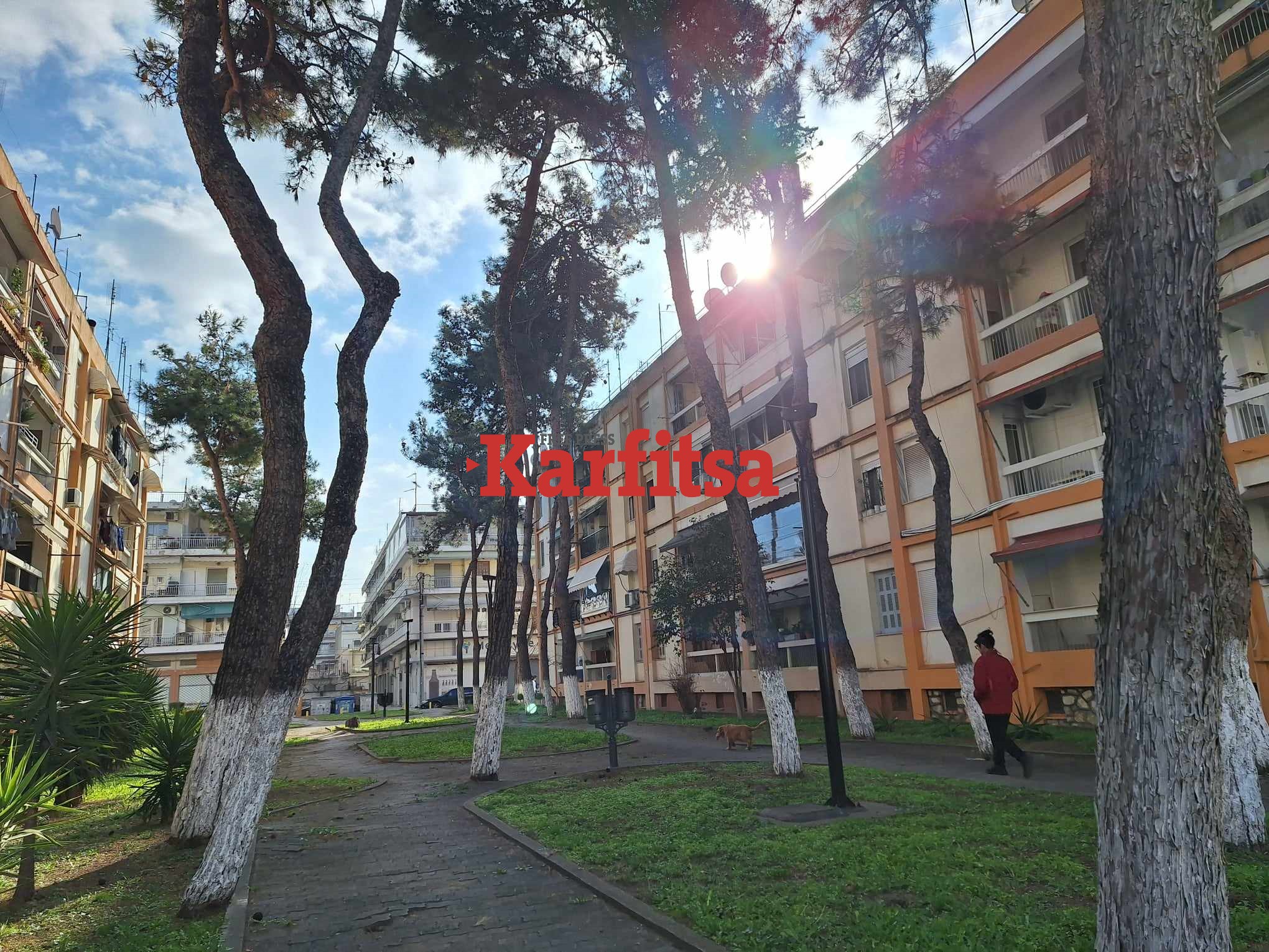 Streets of SKG: Εργατικές Κατοικίες, η πιο πράσινη γειτονιά των Αμπελοκήπων Θεσσαλονίκης