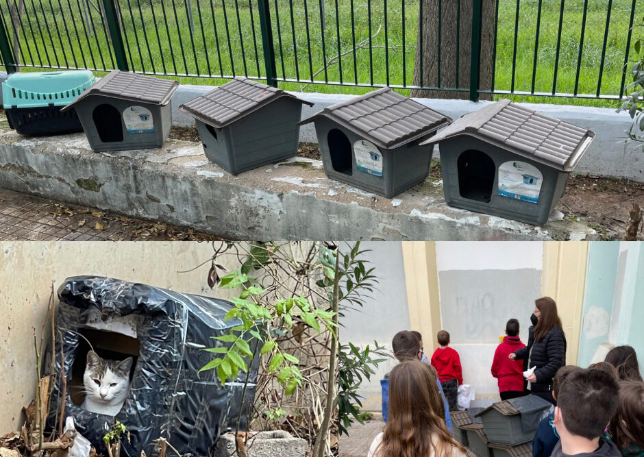 Μαθητές στην Αθήνα έφτιαξαν σπιτάκια για τα αδέσποτα