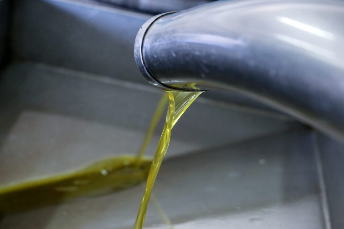 Έκλεψαν 2 τόνους ελαιόλαδο από συνεταιρισμό